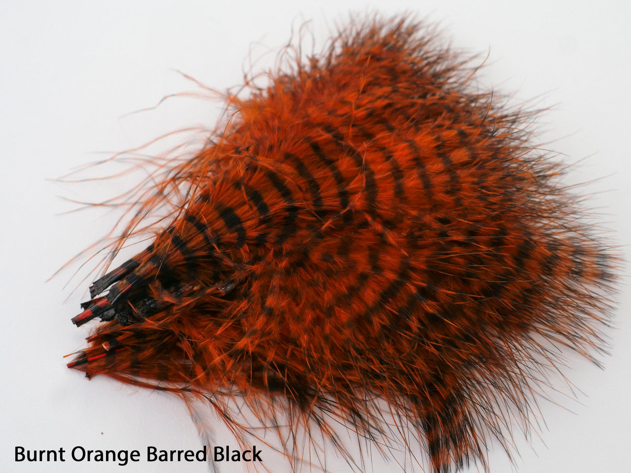 Montana Fly Company Mini Barred Marabou
