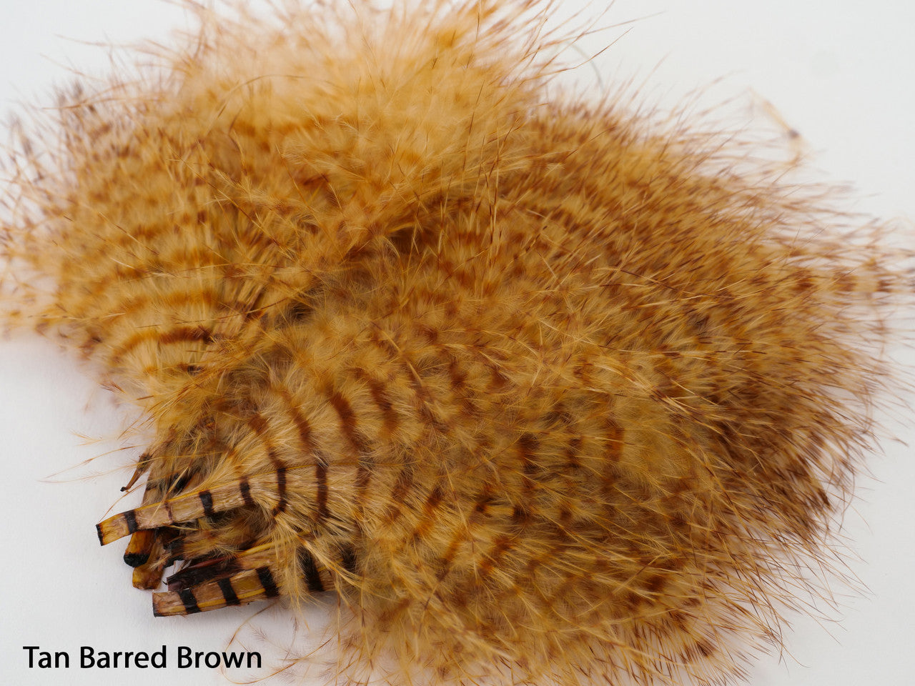 Montana Fly Company Mini Barred Marabou