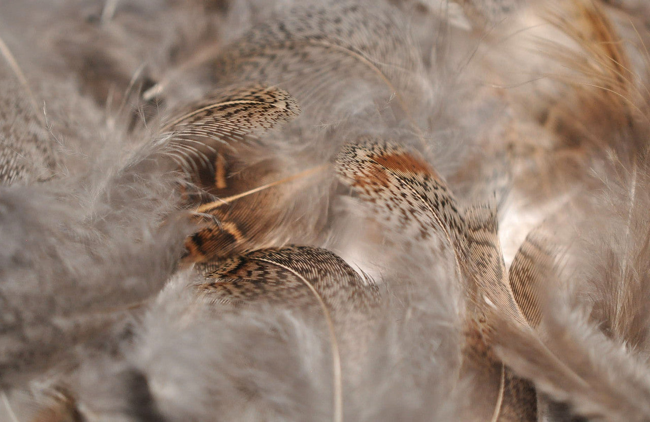 Natures Spirit Premium Bagged Partridge