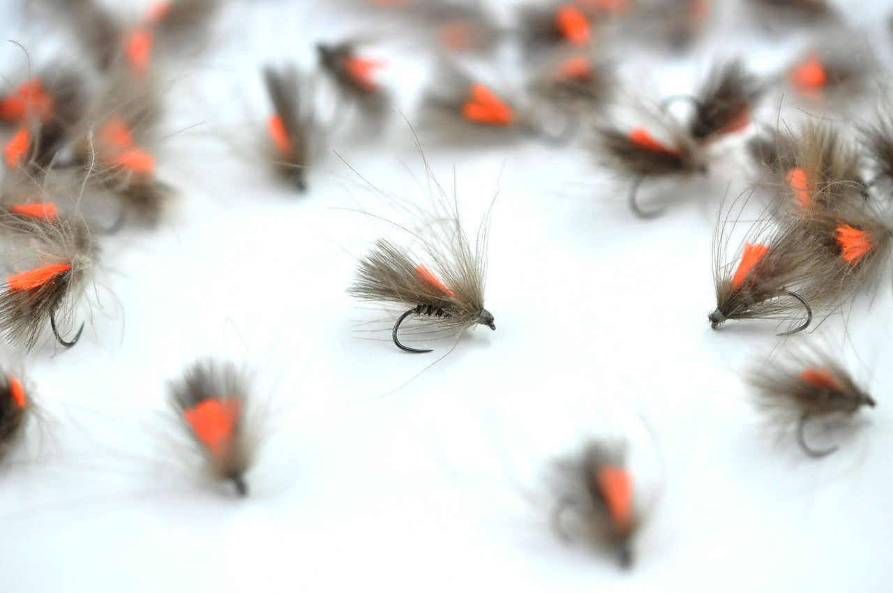 CDC Hot Spot Caddis