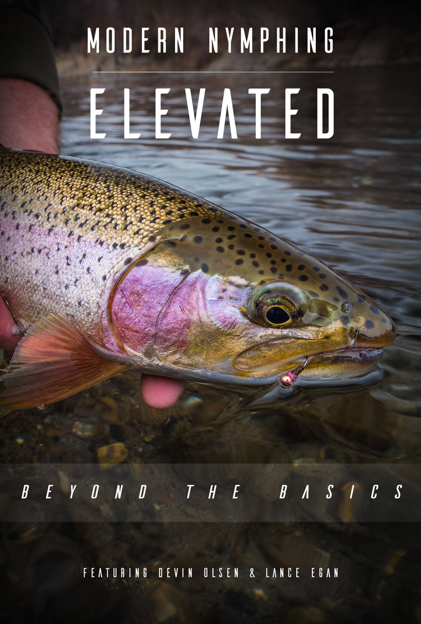 Modern Nymphing Elevated: Beyond the Basics – Tactical Fly Fisher