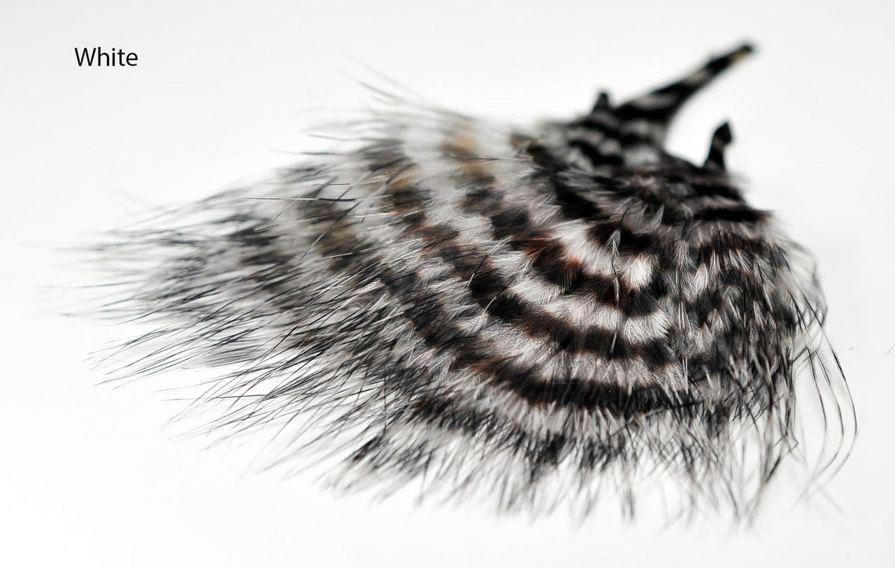 MFC Barred Marabou