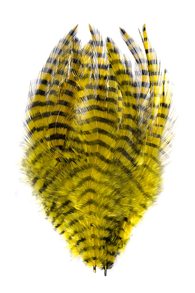 MFC Dyed-Barred Saddle Hackle