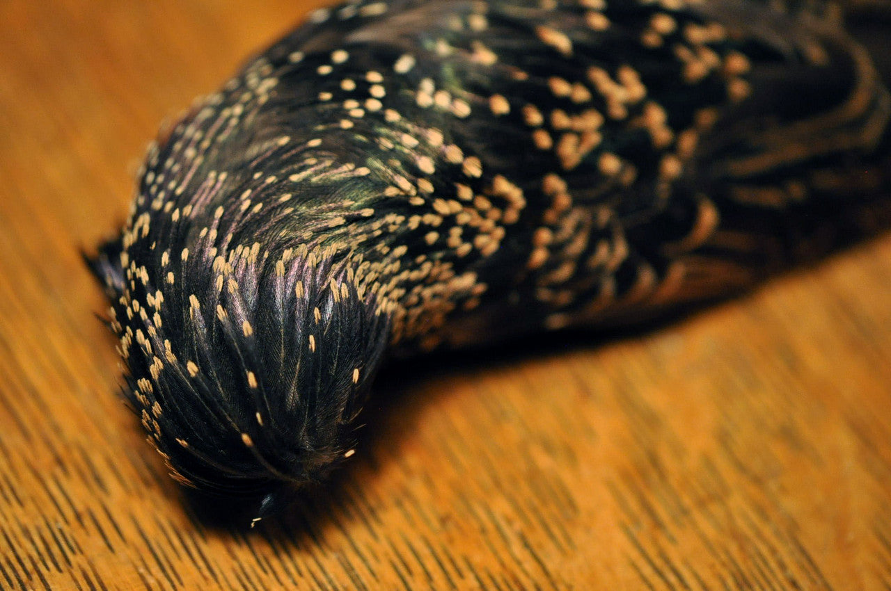 Hareline Starling Skin