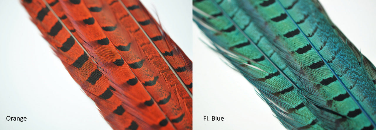 Natures Spirit Ringneck Pheasant Side Tails