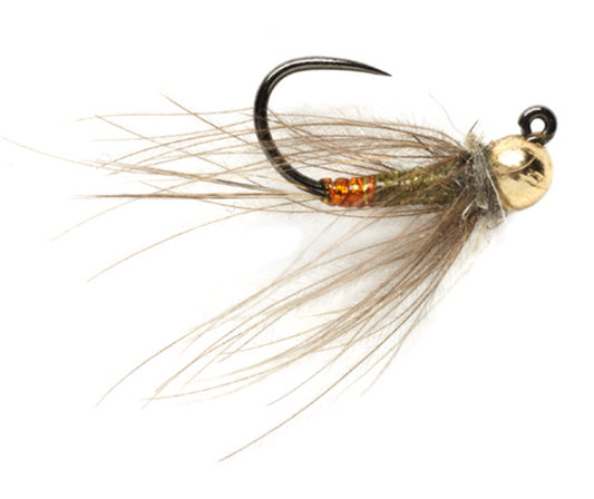 CDC France Fly