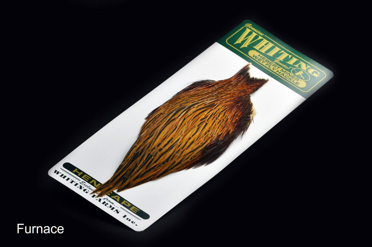 Whiting Farms Hebert Miner Hen Cape