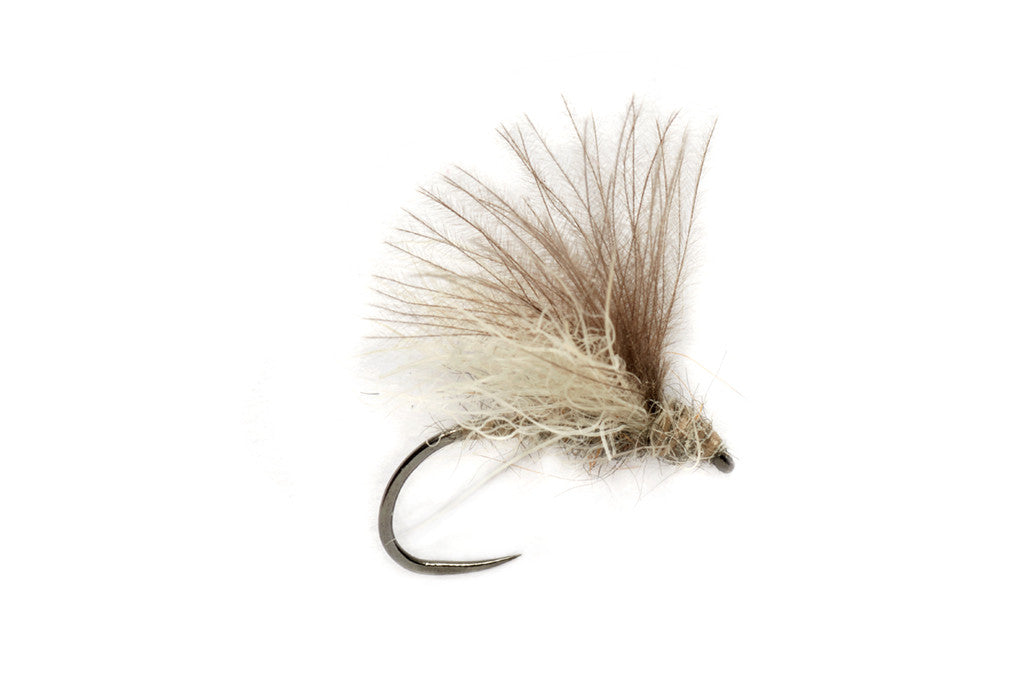 Rosenbauer's ECK Caddis