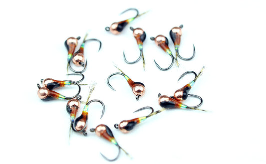 Caramel and Pearl Perdigon