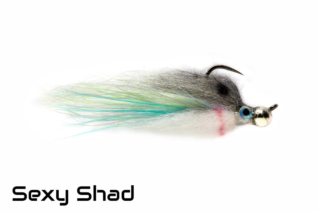 Fat Minnow