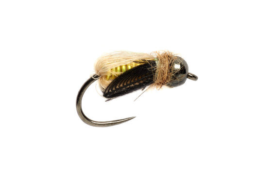 Tom Rosenbauer's Deep Caddis Pupa