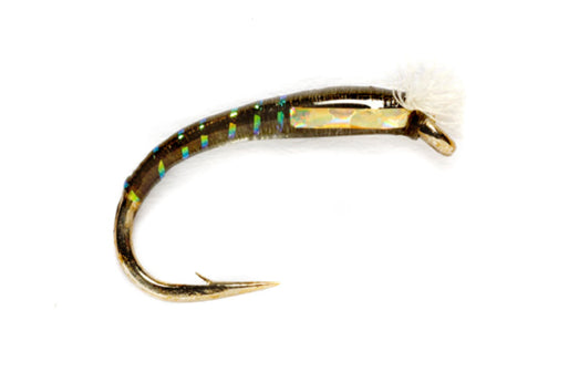 3d Glass Chironomid