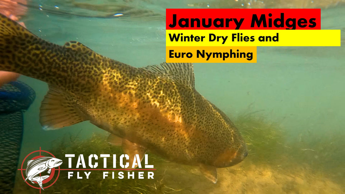 Our New YouTube Video January Midges