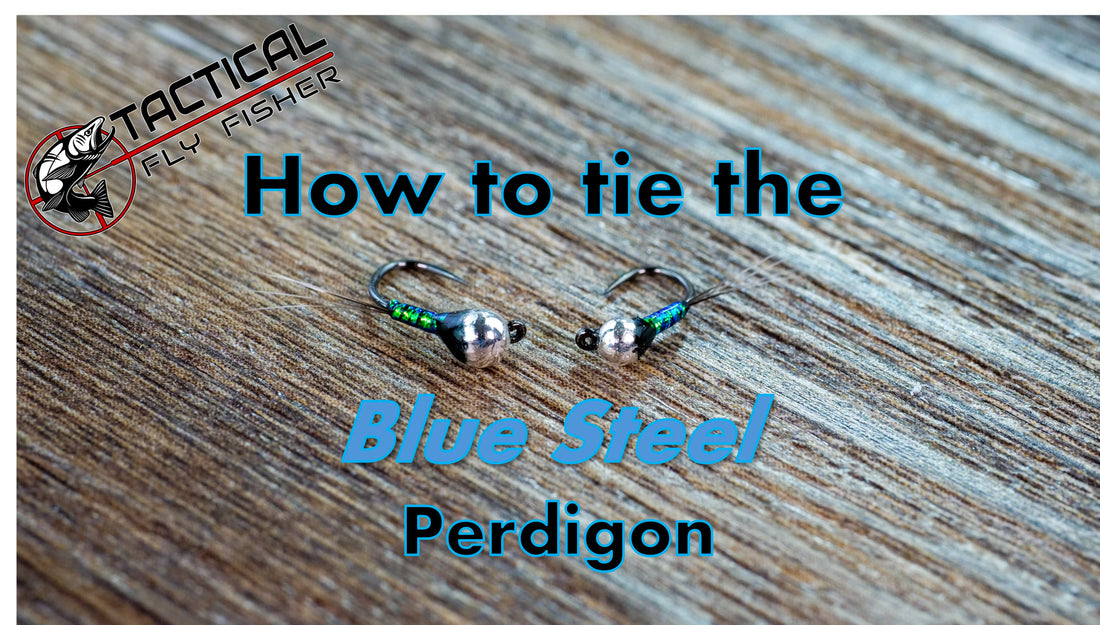 Tying the Blue Steel Perdigon