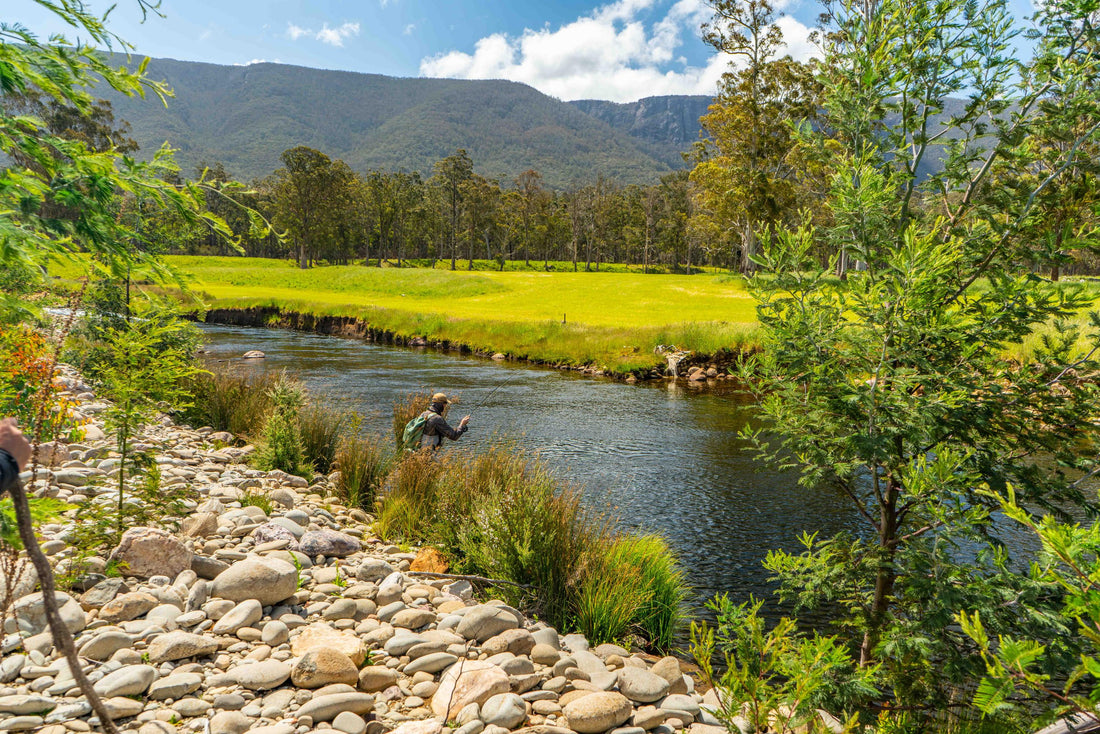 World Fly Fishing Championships in Tasmania 2019: Session Two on the Mersey River