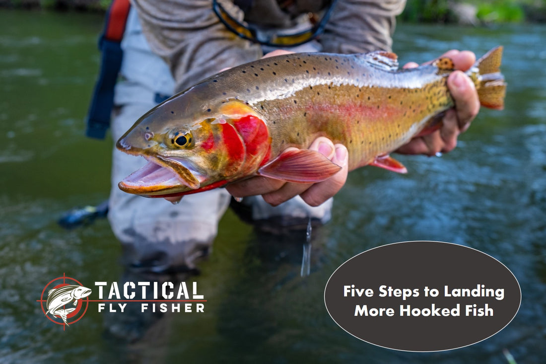 Five Steps to Landing More Hooked Fish