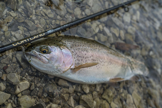 World Fly Fishing Championships Italy 2018 Session 2