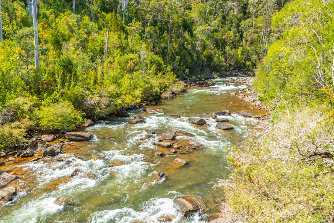 World Fly Fishing Championship 2019 in Tasmania: Session 5 on the Meander River