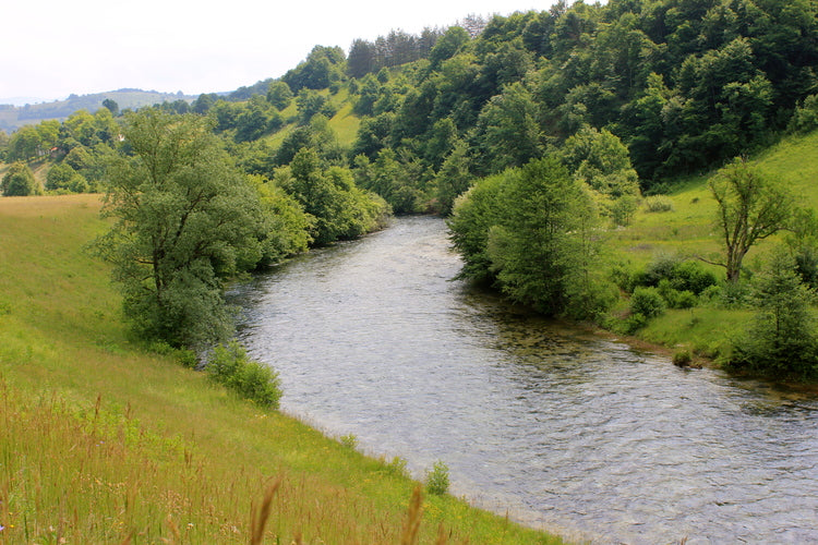 LESSONS FROM BOSNIA: SESSION 2 PLIVA RIVER