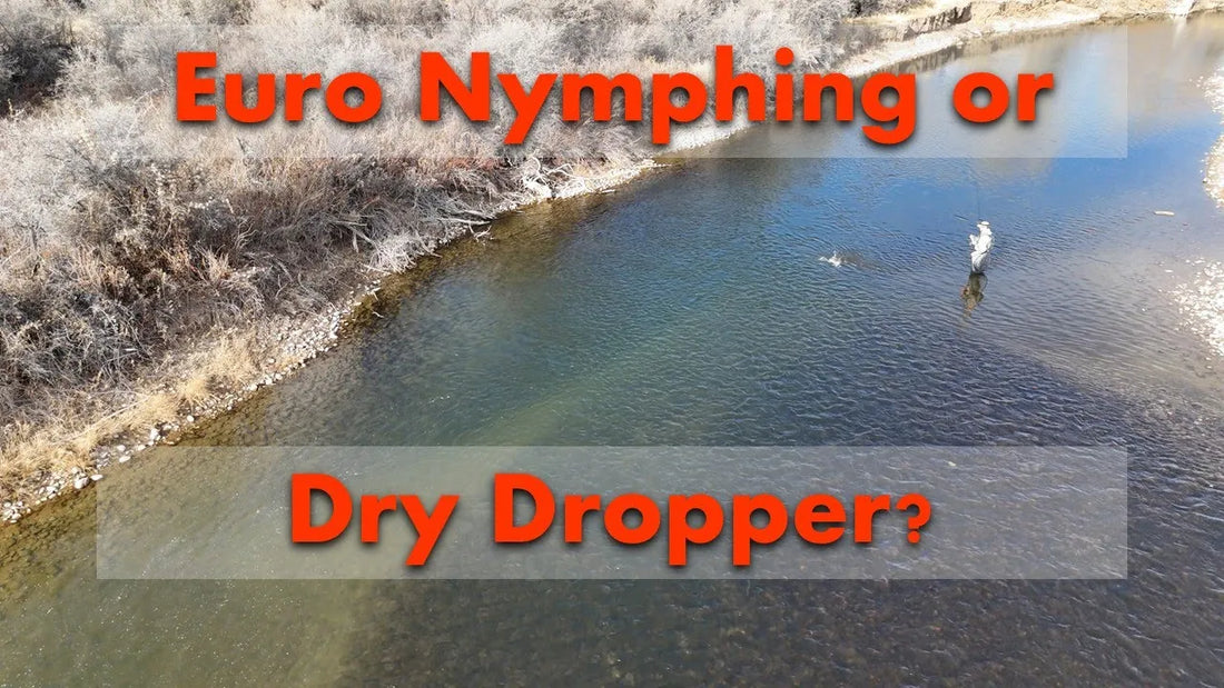 Euro nymphing or dry dropper fishing in a pool? Why not both!?