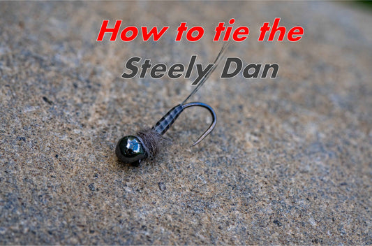 How to Tie the Steely Dan Nymph