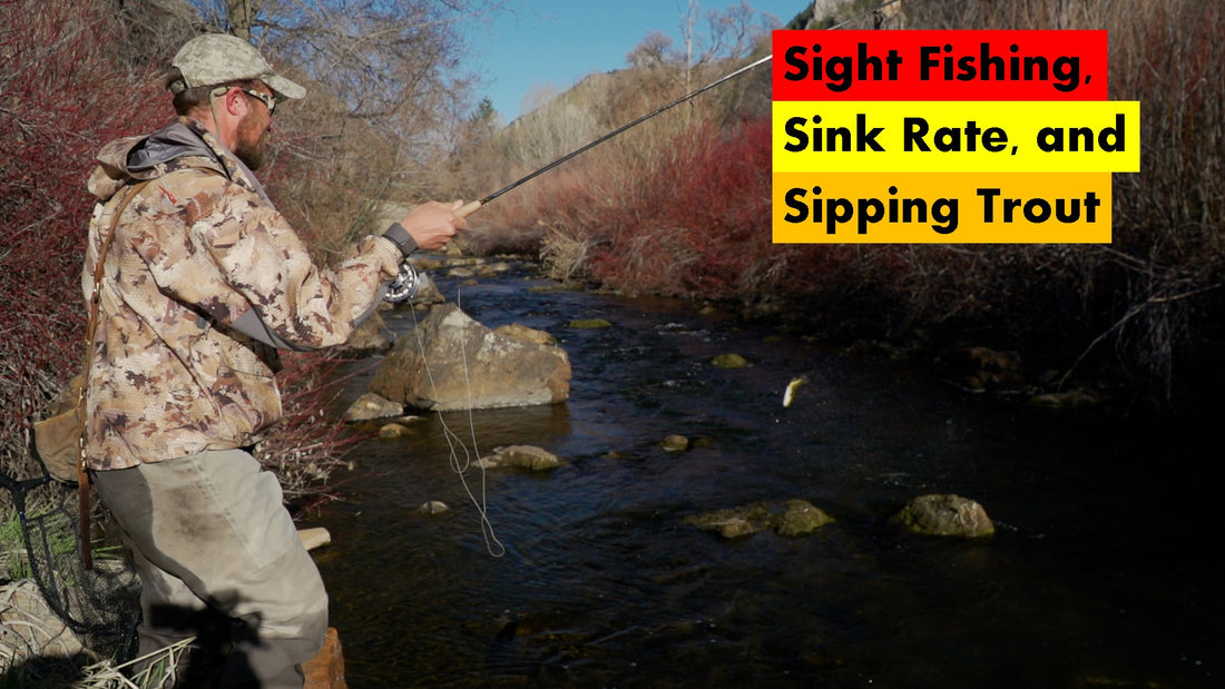 YouTube Video: Sight Fishing, Sink Rate, and Sipping Trout