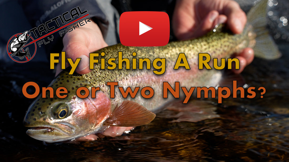 Fly Fishing a Run in Winter: 1 or 2 Nymphs?