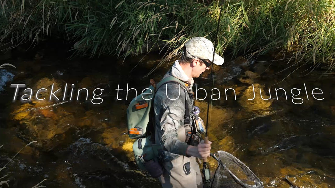 Our New Vlog Post Tackling the Urban Jungle