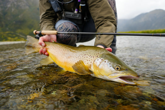 Thomas and Thomas Contact III Nymph Rods