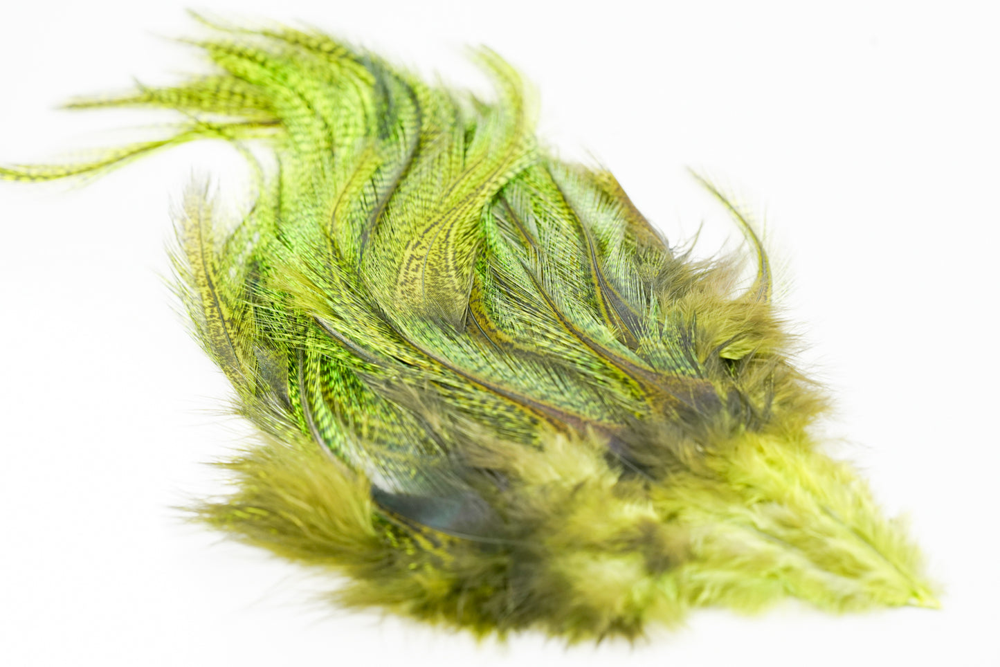 Whiting Euro Nymph CDL Tailing Packs