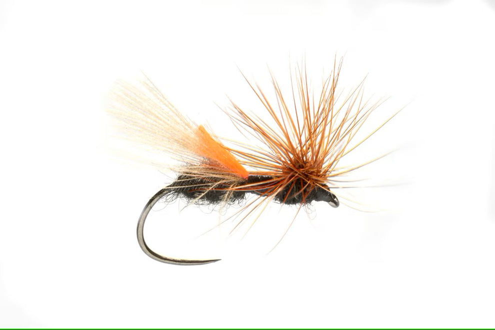 Devin Olsen's Front End Loader Ant – Tactical Fly Fisher