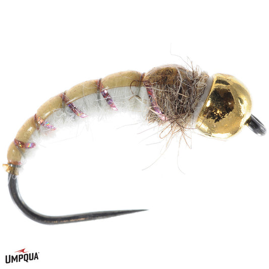 Lance Egan's GTI Caddis (Amber and Cream)