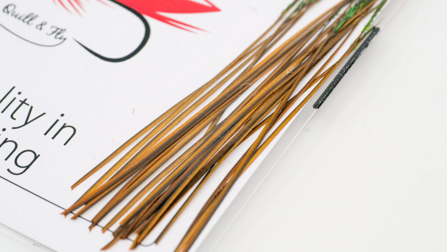 Polish Stripped Peacock Quills