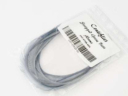 Contiflies Stripped Goose Biots