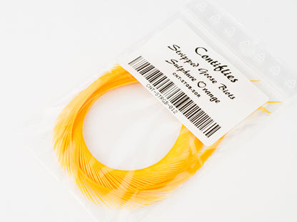 Contiflies Stripped Goose Biots