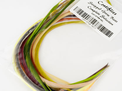 Contiflies Stripped Goose Biots