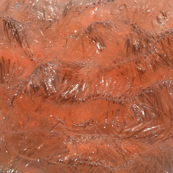 Fasna Translucent Fritz