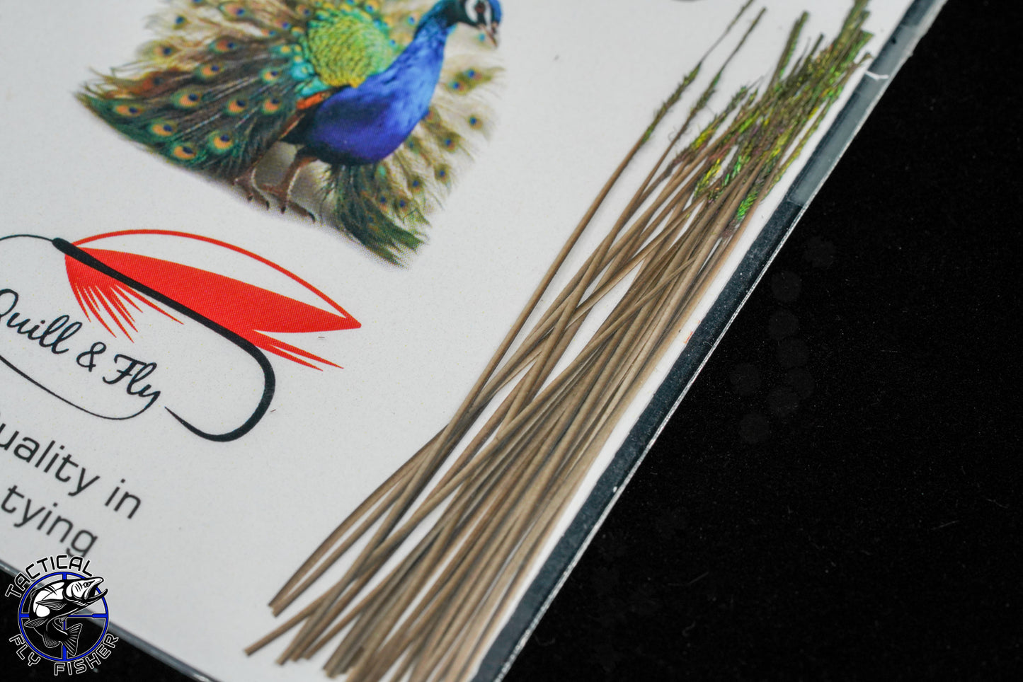 Polish Quills Stripped Peacock Quills
