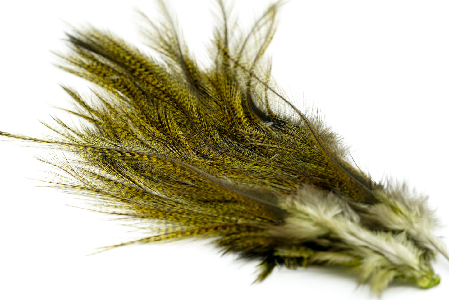 Whiting Euro Nymph CDL Tailing Packs