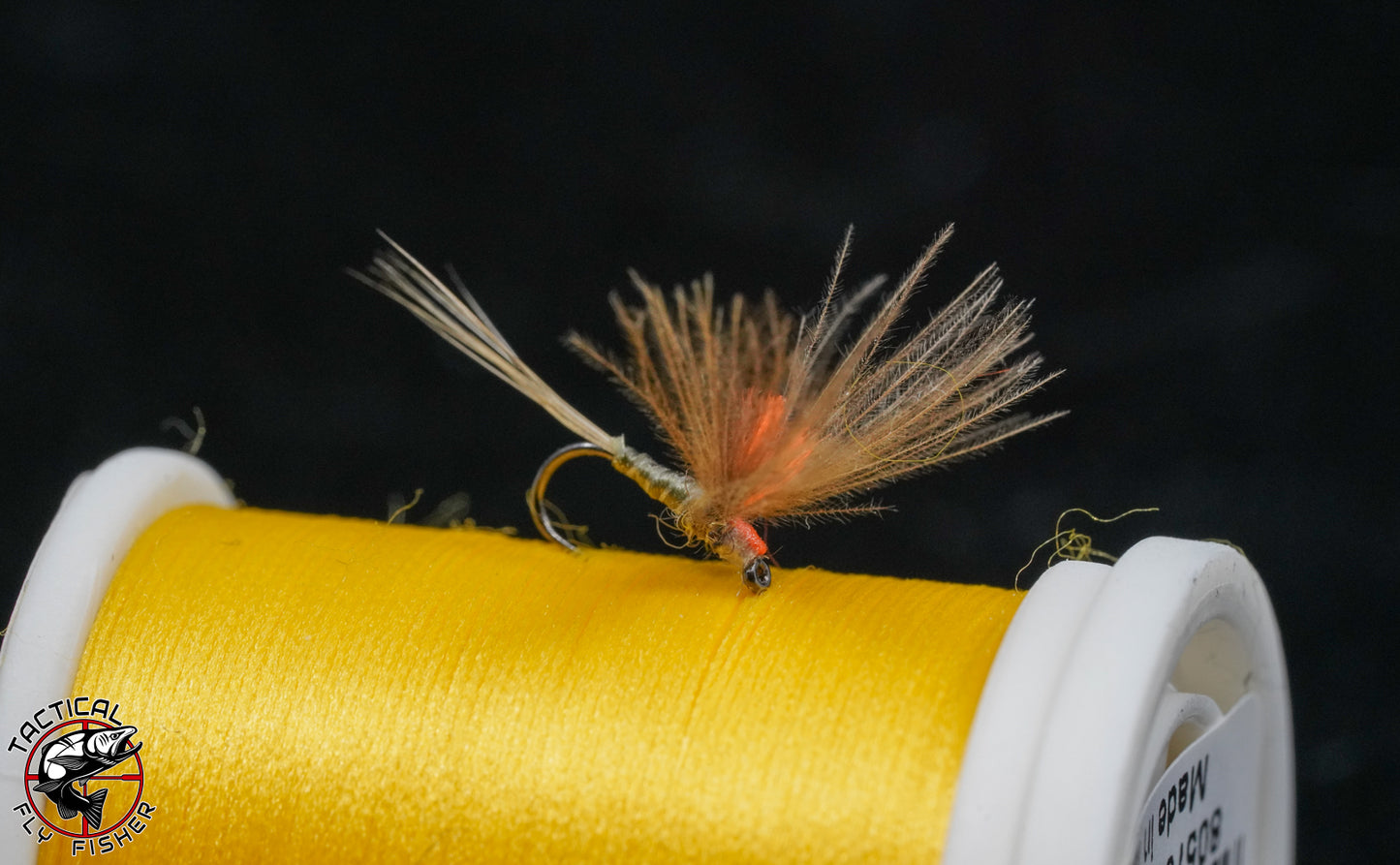 Olive Split Wing