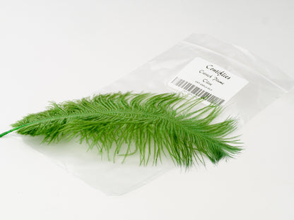 Contiflies Ostrich Plumes