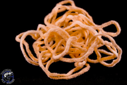 Soldarini Wormstasy Chenille