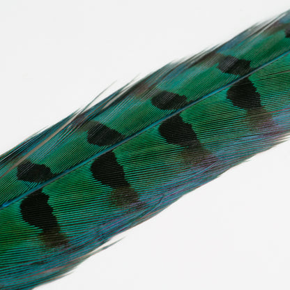 UV2 Pheasant Tail Feathers