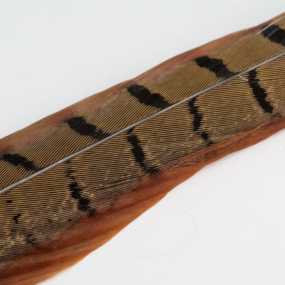 UV2 Pheasant Tail Feathers