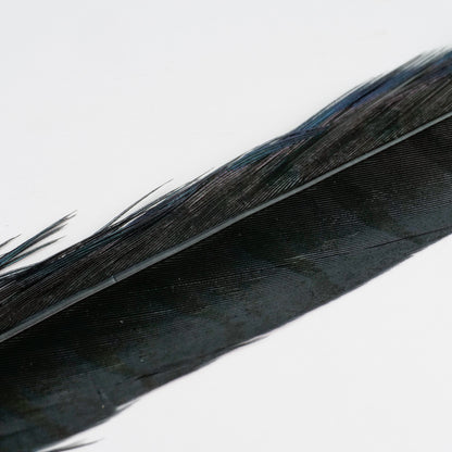 UV2 Pheasant Tail Feathers