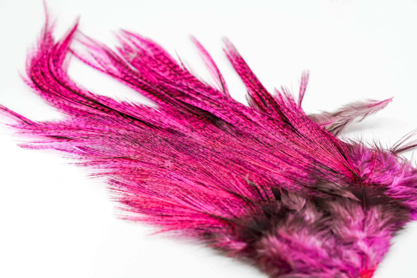 Whiting Euro Nymph CDL Tailing Packs