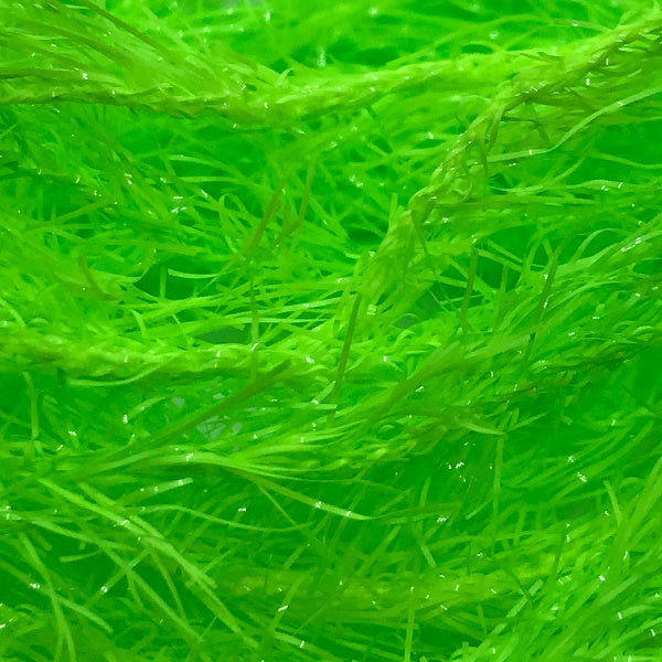 Fasna Neon Fritz
