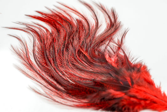 Whiting Euro Nymph CDL Tailing Packs