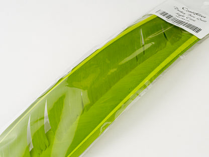 Contiflies Turkey Quills