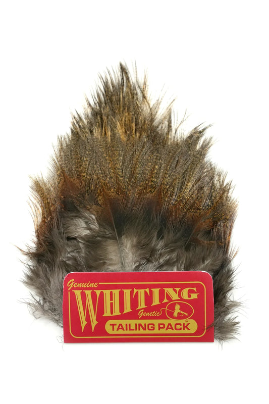 Whiting  Euro Nymph CDL Tailing Packs